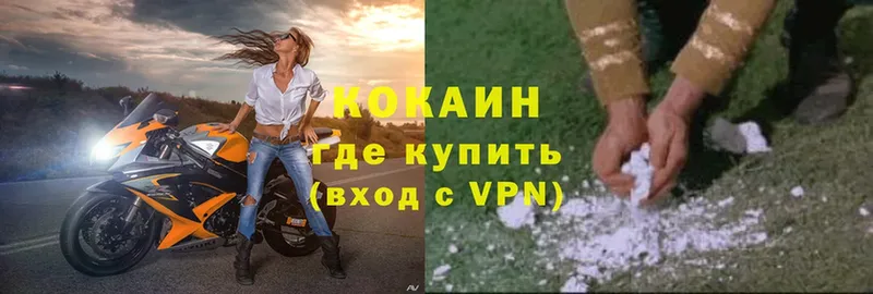 Cocaine FishScale  даркнет клад  Гороховец  купить наркоту 