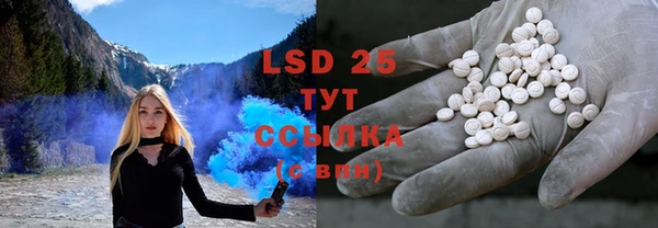 индика Балахна