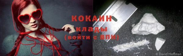индика Балахна