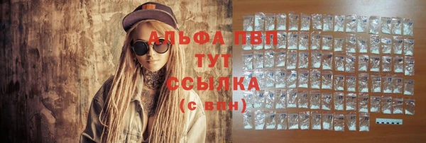 индика Балахна
