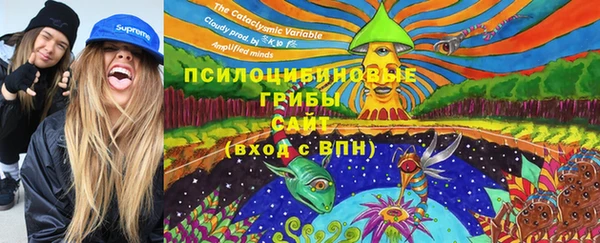 индика Балахна